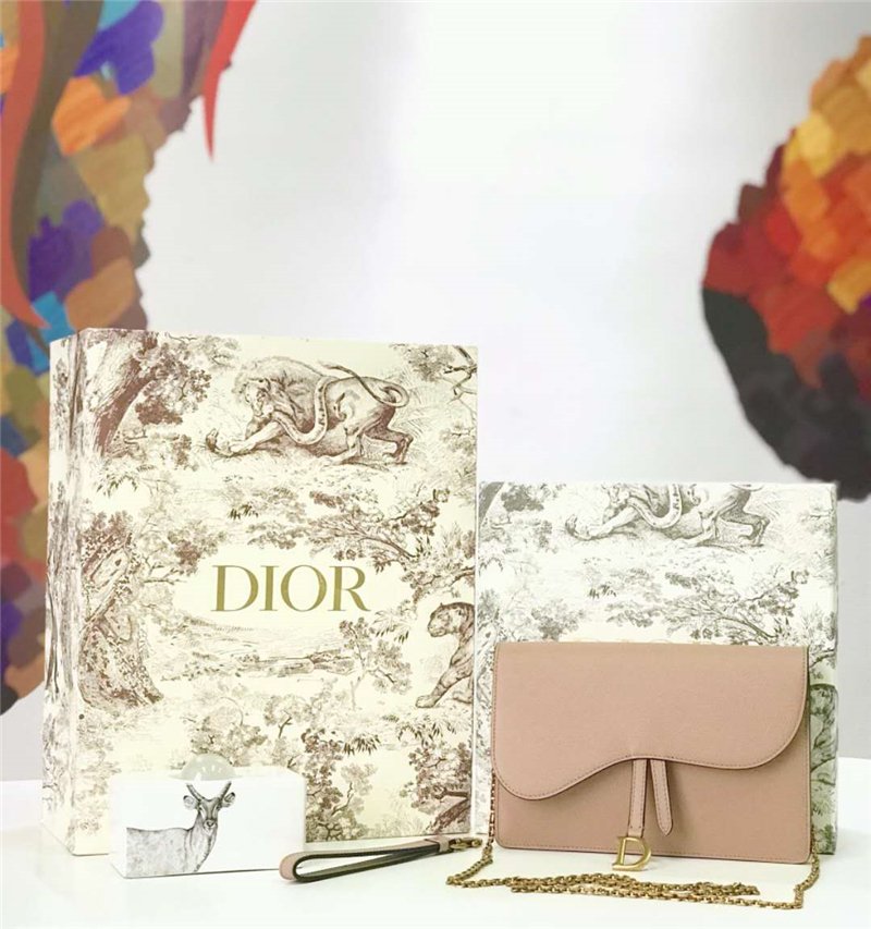 迪奥女包 Dior Saddle系列女包 woc包型 小牛皮 迪奥链条包 Dior手拿包 裸粉 原单迪奥 M5620