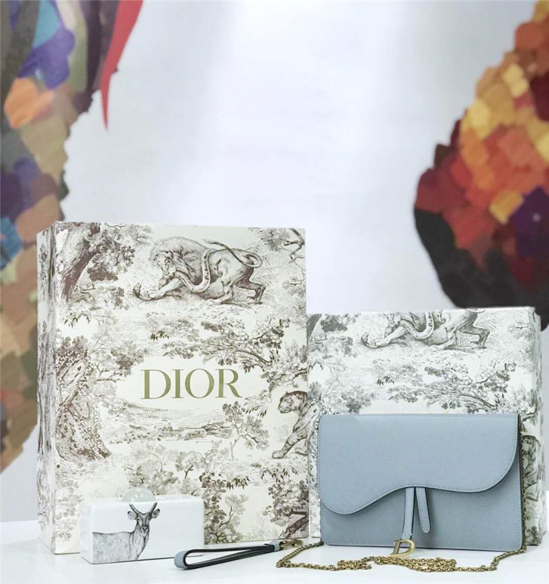 迪奥女包 Dior Saddle系列女包 woc包型 小牛皮 迪奥链条包 Dior手拿包 灰蓝 高仿迪奥女包 M5620