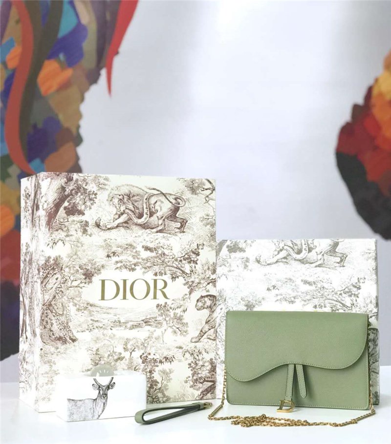 迪奥女包 Dior Saddle系列女包 woc包型 小牛皮 迪奥链条包 Dior手拿包 抹茶绿 高仿迪奥女包 M5620