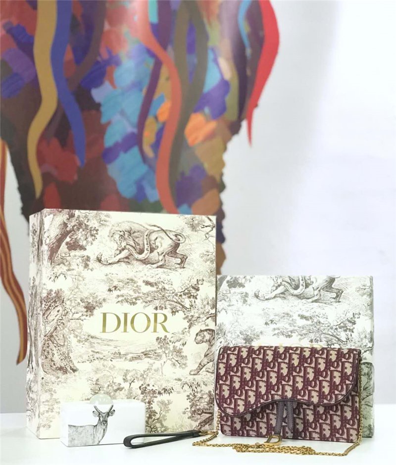 迪奥女包 Dior Oblique女包 提花帆布 迪奥链条包 Dior手拿包 酒红色 高仿迪奥女包 M5620