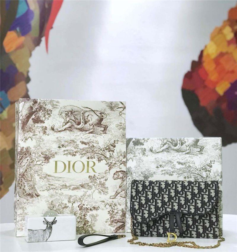 迪奥女包 Dior Oblique女包 提花帆布 迪奥链条包 Dior手拿包 灰黑色 高仿迪奥女包 M5620