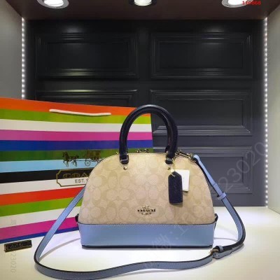 COACH,高仿蔻驰女包 高仿蔻驰包包 精仿蔻驰女包 原版蔻驰女包 A货蔻驰女包 原单蔻驰女包