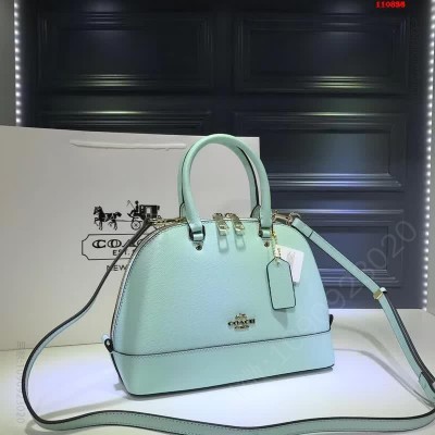 COACH,高仿蔻驰女包 高仿蔻驰包包 精仿蔻驰女包 原版蔻驰女包 A货蔻驰女包 原单蔻驰女包