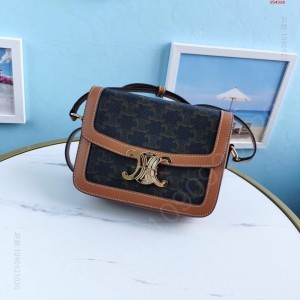 CELINE凯旋门印花 高仿赛琳包包 A货赛琳女包