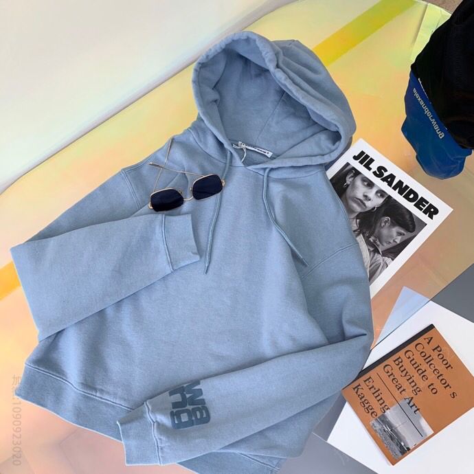 Alexander wang 20AW最新款马卡龙色系连帽卫衣