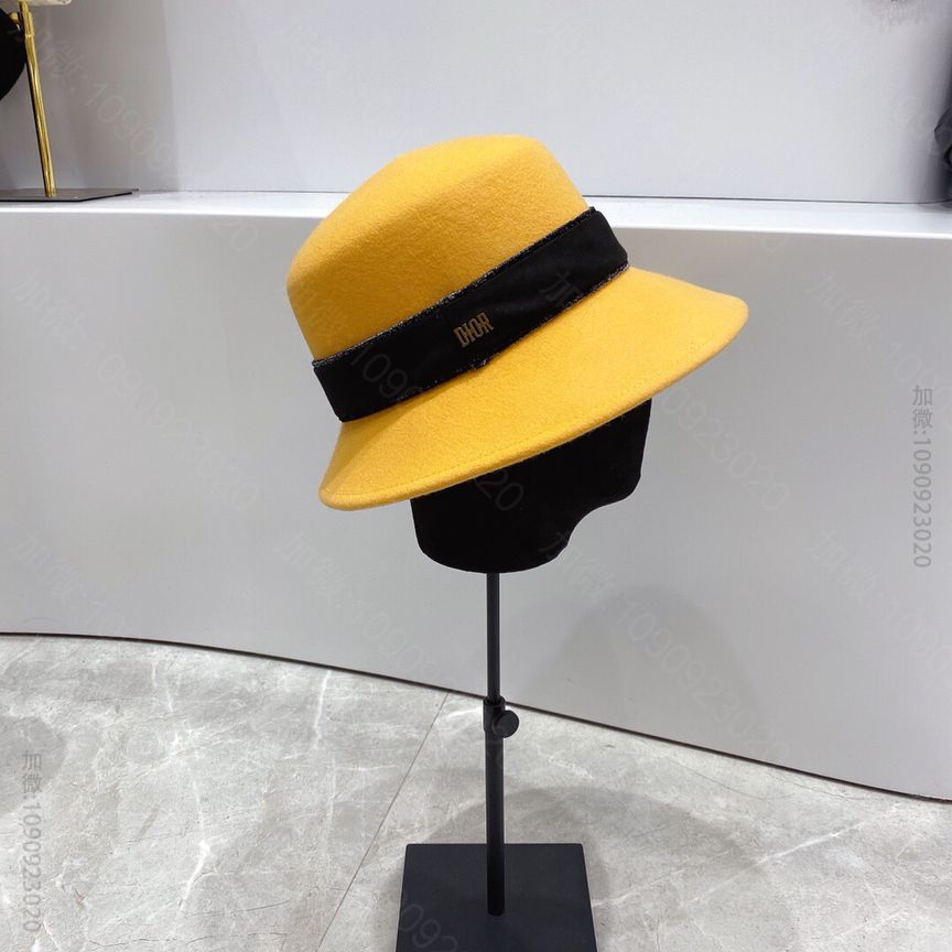 Dior迪奥20秋冬新款进口澳洲羊毛礼帽