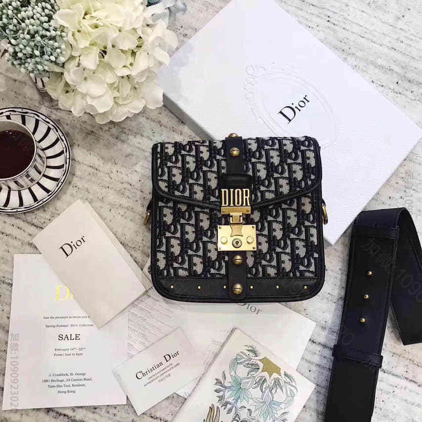 法国正品代购 Dior/迪奥 17秋冬 Dioraddict 复古logo帆...