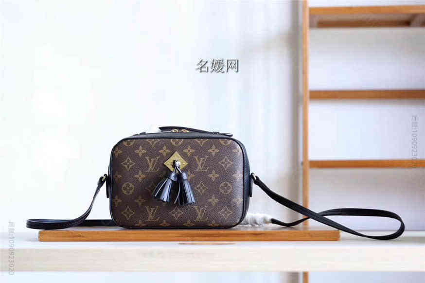 LV/路易威登 老花配皮Saintonge相机包斜挎包M43555