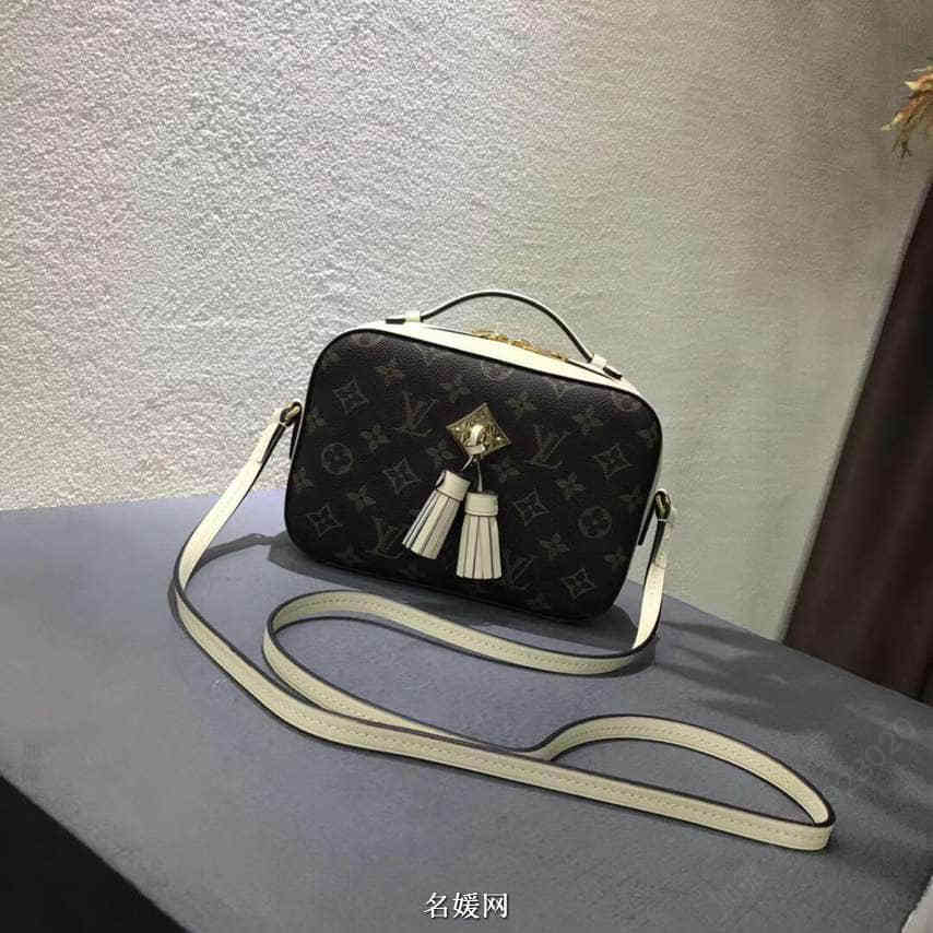 路易威登女包 路易威登女包 LV/路易威登 18新款 Saintonge 拼色相机包单肩斜挎包 M43559 LV单肩女包 LV斜跨包 图片 M43559