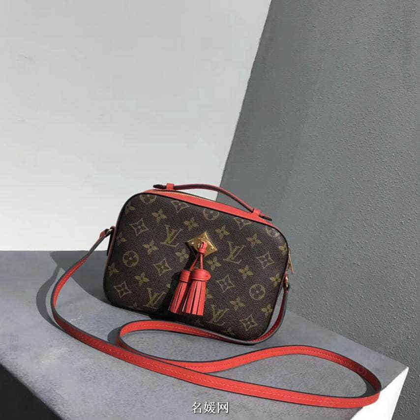 路易威登女包 路易威登女包 LV/路易威登 18新款 Saintonge 拼色相机包单肩斜挎包 红色 LV单肩女包 M14669