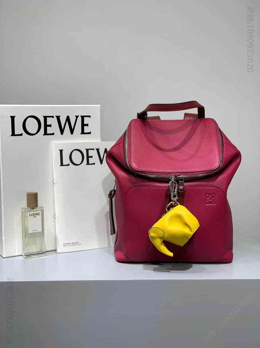 Loewe/罗意威 2023新颜色戚薇同款Goya系列双肩女生背包
