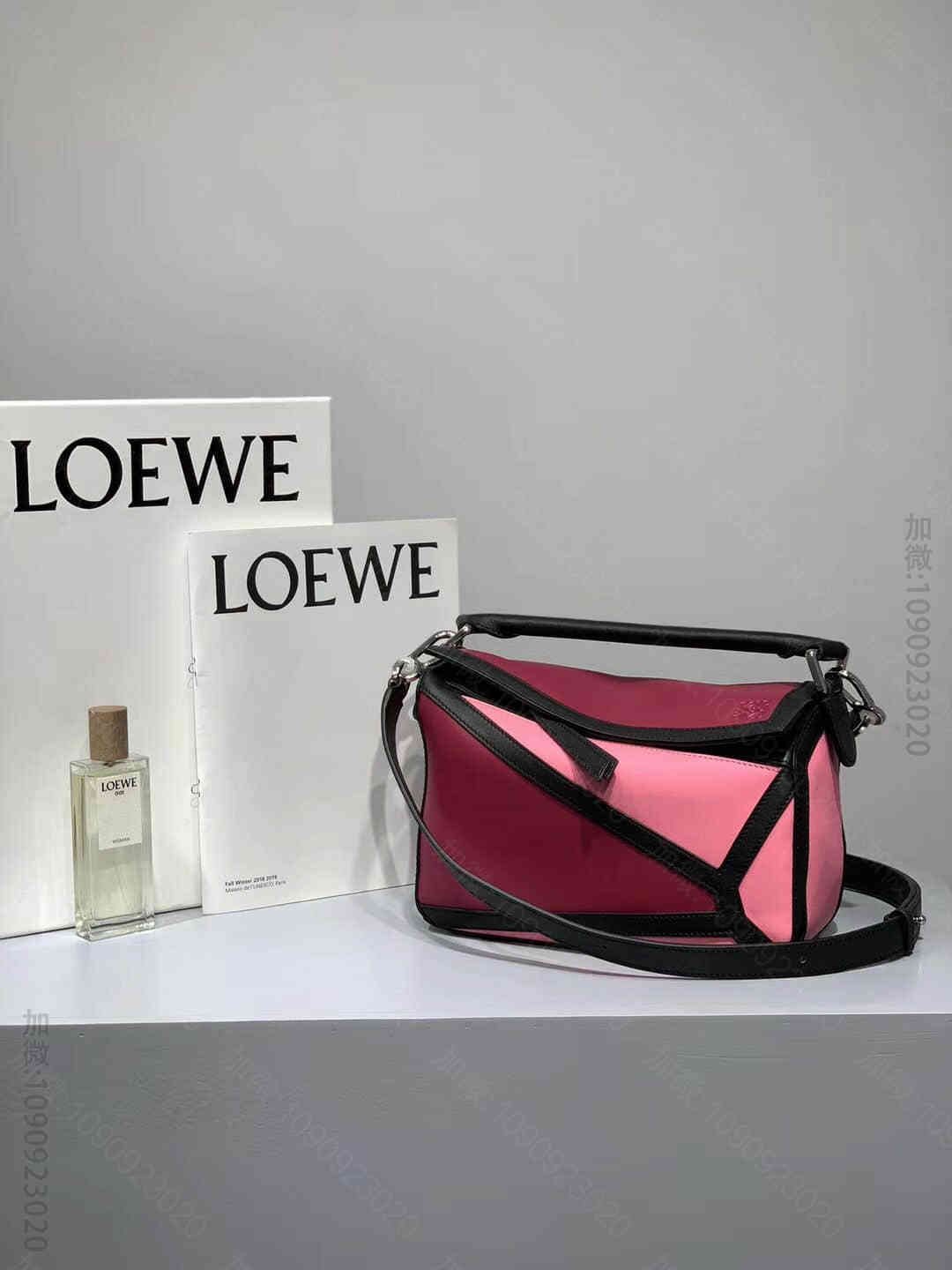 Loewe/罗意威 火龙果拼色24CM小号几何包