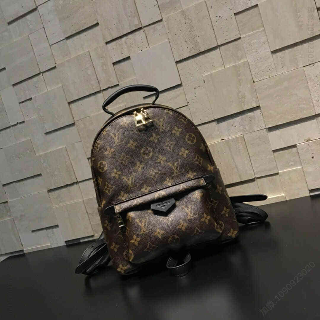 LV路易威登 SPRINGS 中号经典老花牛皮女士双肩包背包书包 M41560