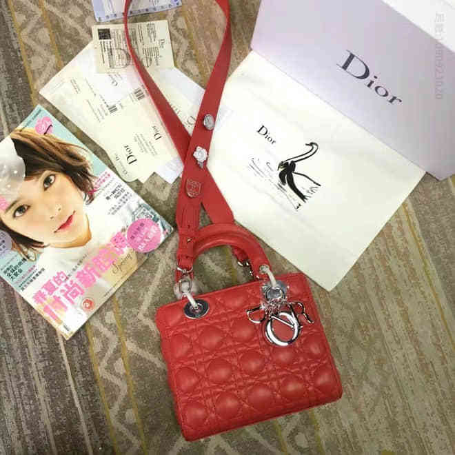 Lady dio.r新款四格 羊皮 宽肩带，这些扣子一共10多个个，可以安装在肩带上