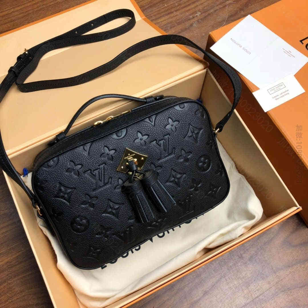 LV Saintonge压纹皮革相机包 M44593