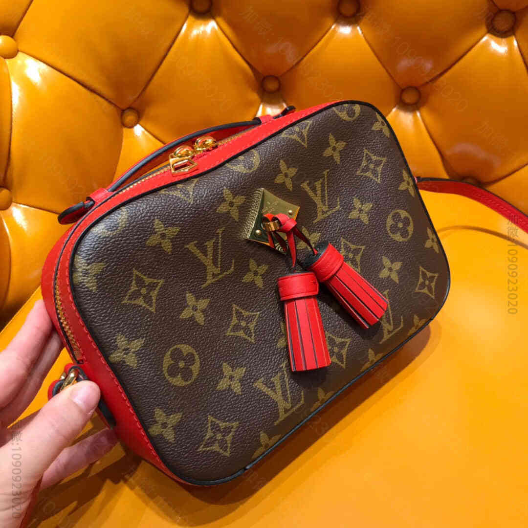 LV M43556 SAINTONGE 手袋 流苏装饰相机包
