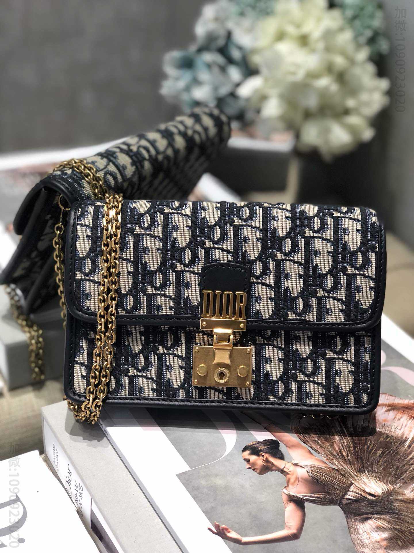Dior/迪奥 Oblique DADDI Pouch CANVAS 正方包