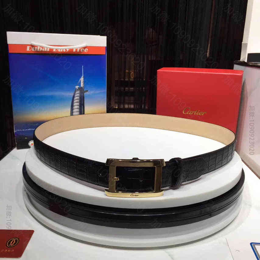 【Cartier】卡地亚镀金饰面针扣式皮带