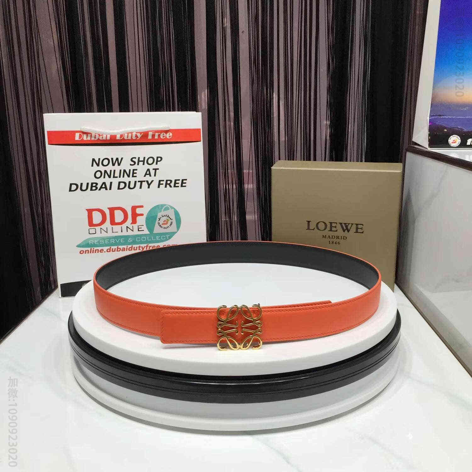 LOEWE罗意威 2023专柜夏季款 女士腰带