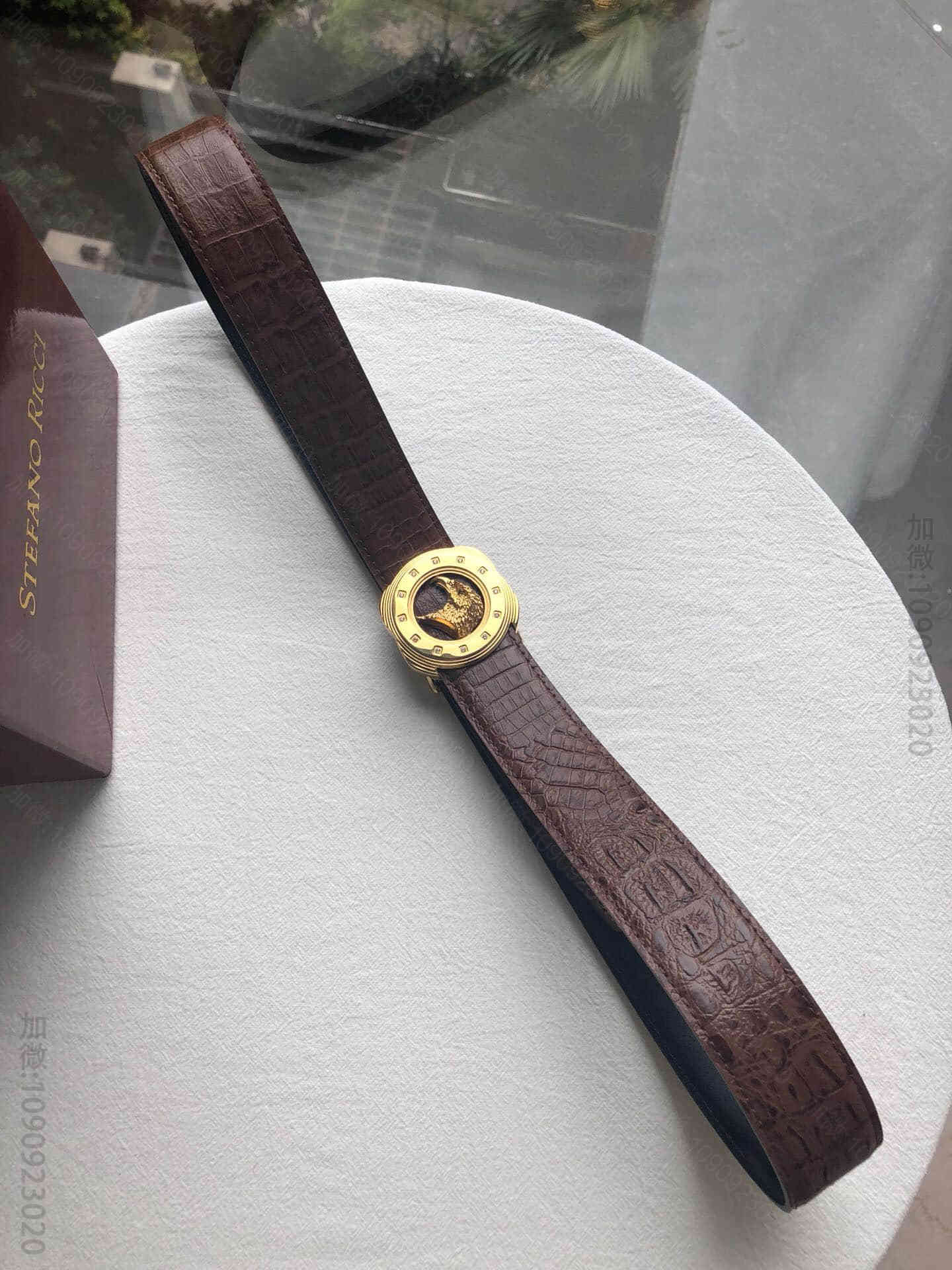 STEFANORICCI史蒂芬精钢鹰头间隔镶嵌钻内穿金属扣腰带牛皮鳄鱼纹理3...