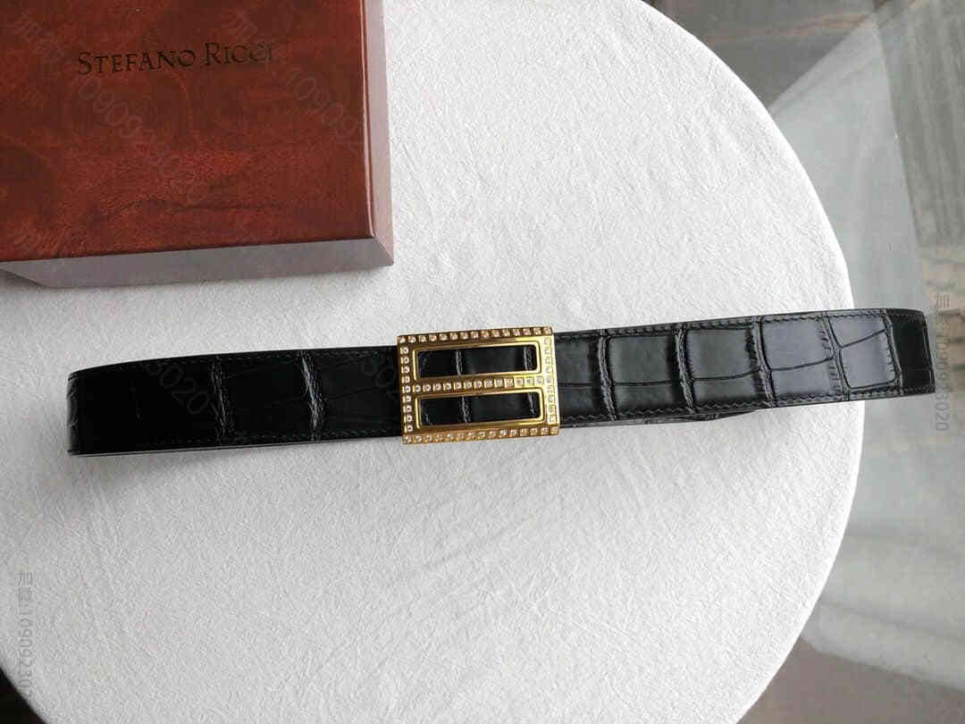 STEFANORICCI史蒂芬精钢镶嵌钻内穿金属挂扣，腰带牛皮鳄鱼纹理35m...
