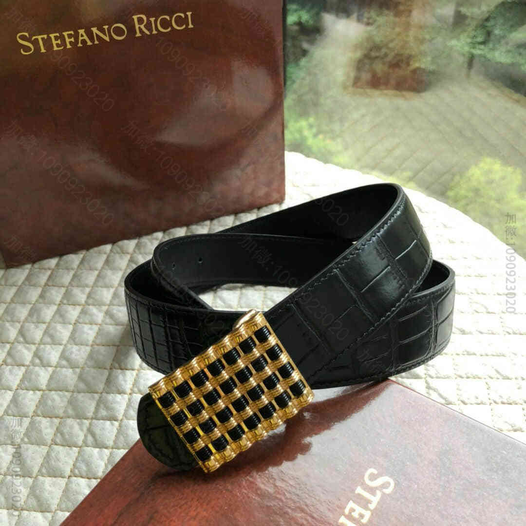 STEFANORICCI史蒂芬精钢算盘亚克力材质金属挂扣腰带牛皮鳄鱼纹理35...