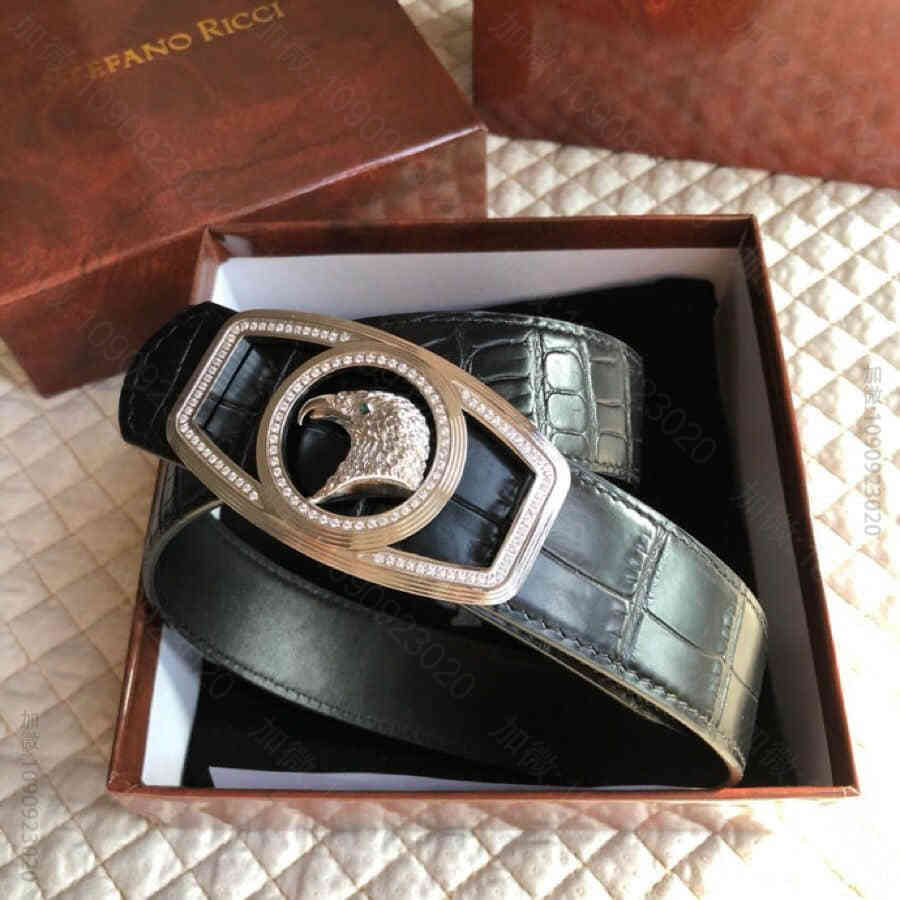 STEFANORICCI史蒂芬精钢动物图案鹰头镶嵌钻金属挂扣腰带牛皮鳄鱼纹理...