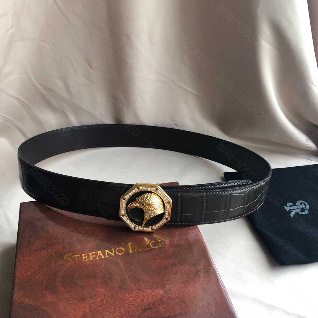 STEFANORICCI史蒂芬.劳尼治专柜款精钢鹰头镶嵌钻扣3.8cm头层牛...