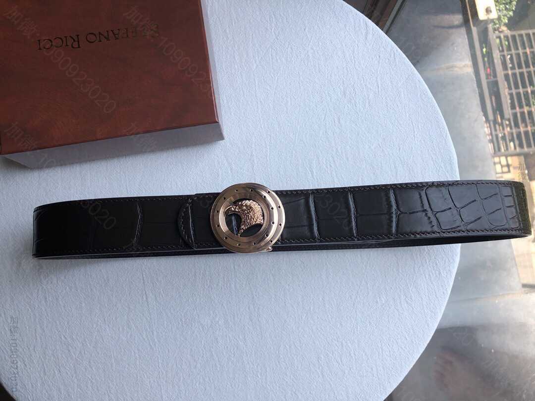 StefanoRicci（史蒂芬劳.尼治）意大利男士纯钢鹰头挂扣腰带宽度3....