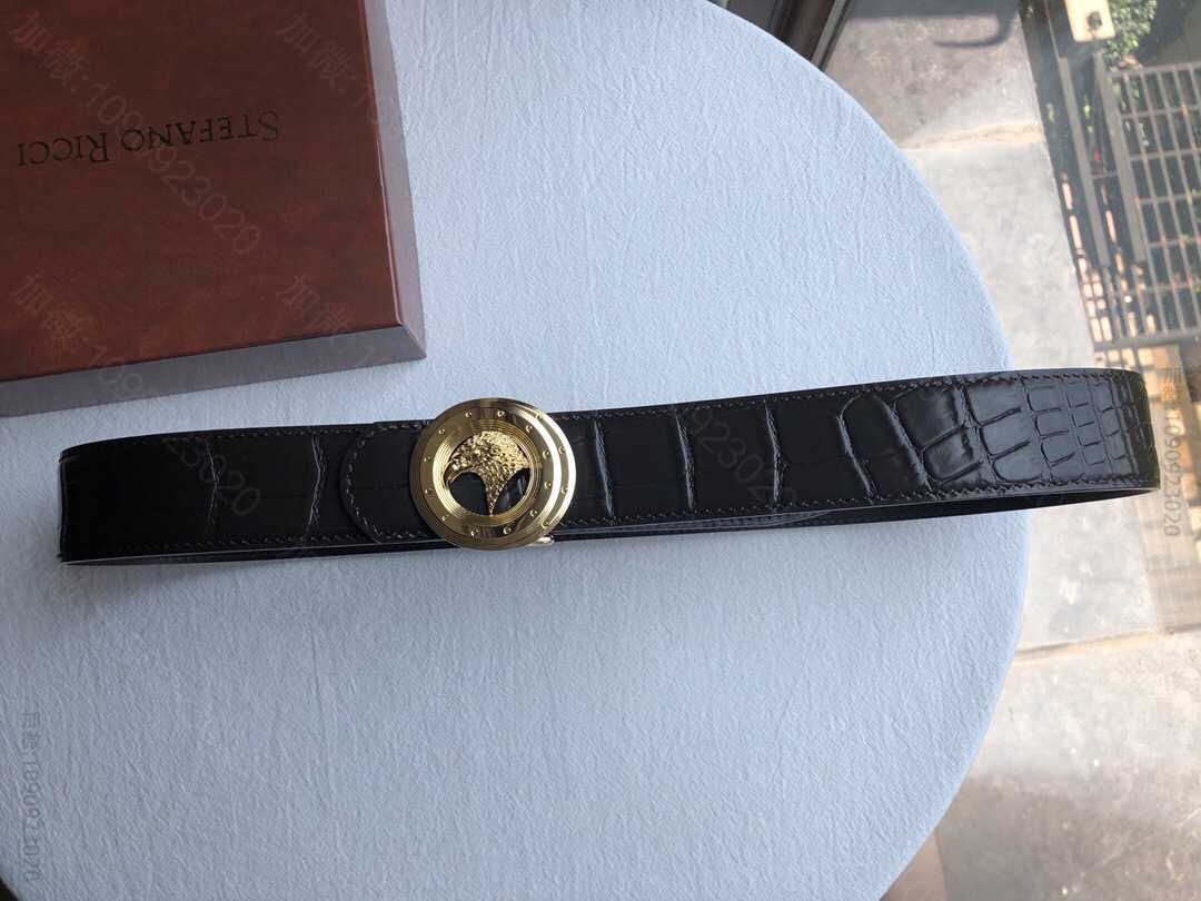 StefanoRicci（史蒂芬劳.尼治）意大利男士纯钢鹰头挂扣腰带宽度3....