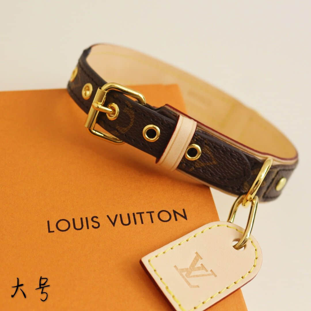 Louis Vuitton路易威登 BAXTER DOG COLLAR PM...