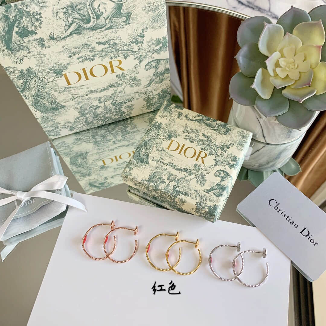 19款新推出的rose des vents系列 Dior 罗盘耳钉耳环