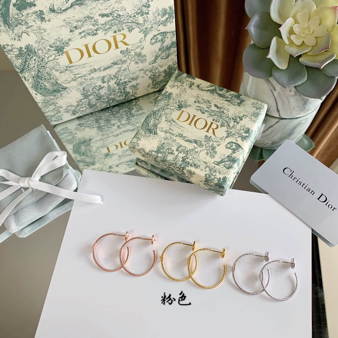 19款新推出的rose des vents系列 Dior 罗盘耳钉耳环