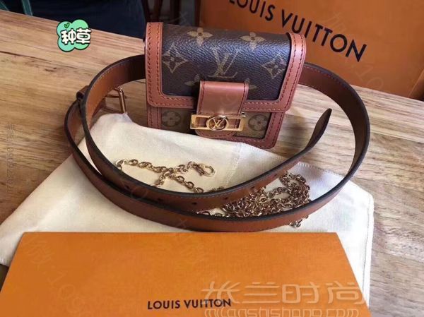 LV 达芙妮mini老花邮差包腰包-lvmh集团总裁长子_高仿包包