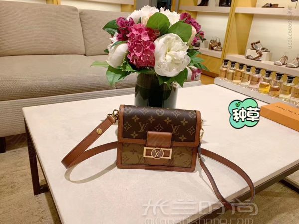 LV 达芙妮mini老花邮差包腰包-lvmh集团总裁长子_高仿包包