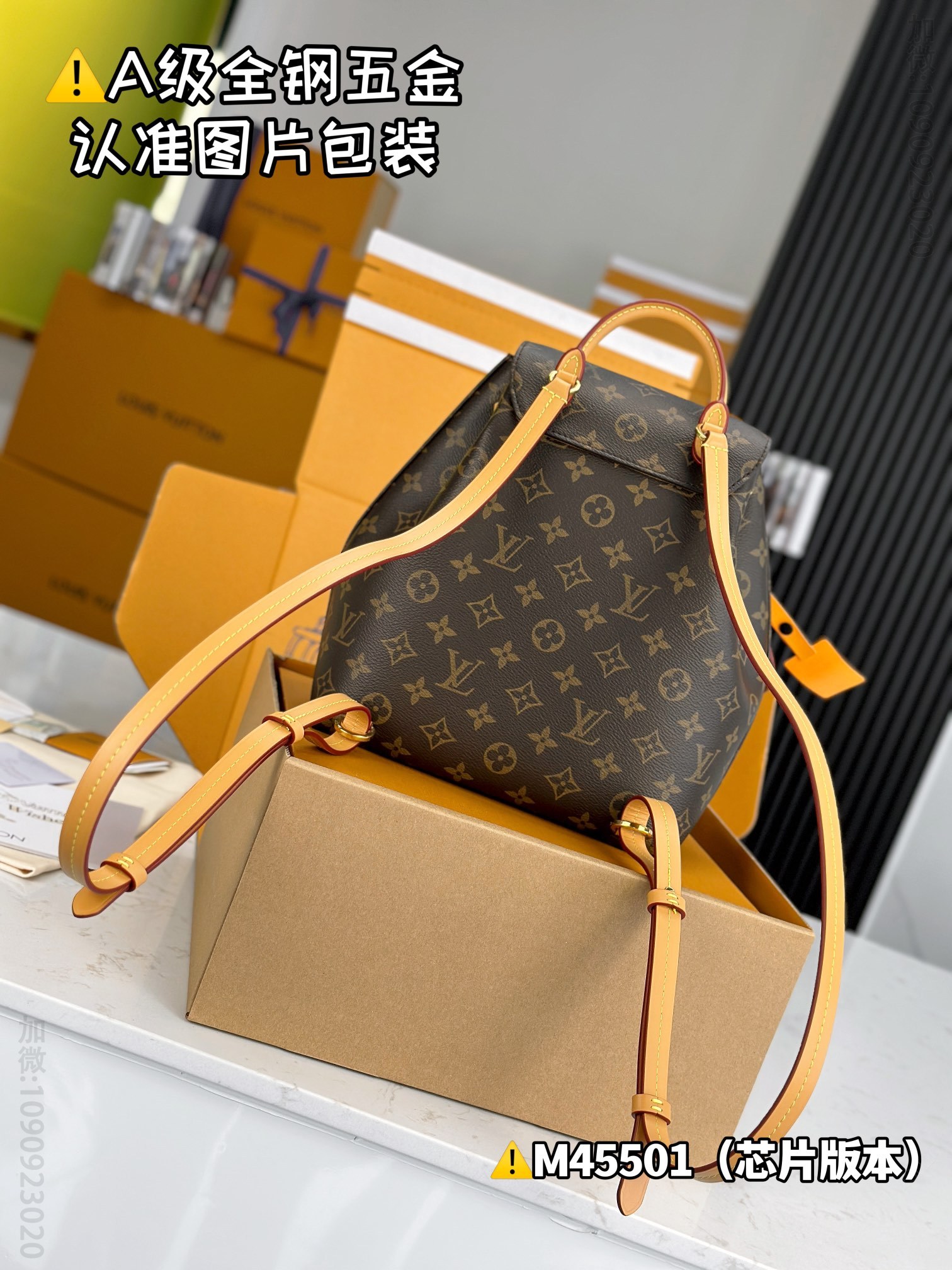 LV MONTSOURIS LV small backpack M45501 M45501