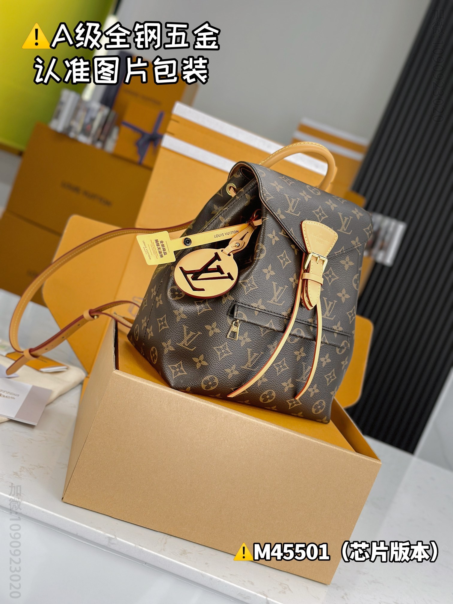 LV MONTSOURIS LV small backpack M45501 M45501