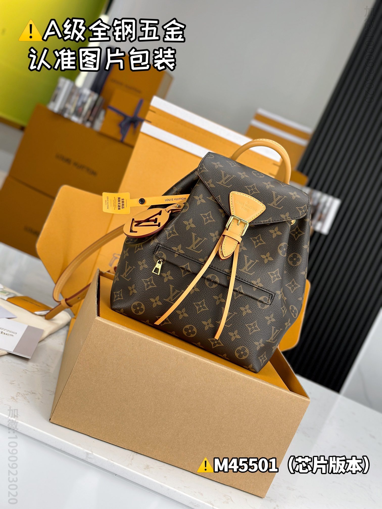 LV MONTSOURIS LV small backpack M45501 M45501
