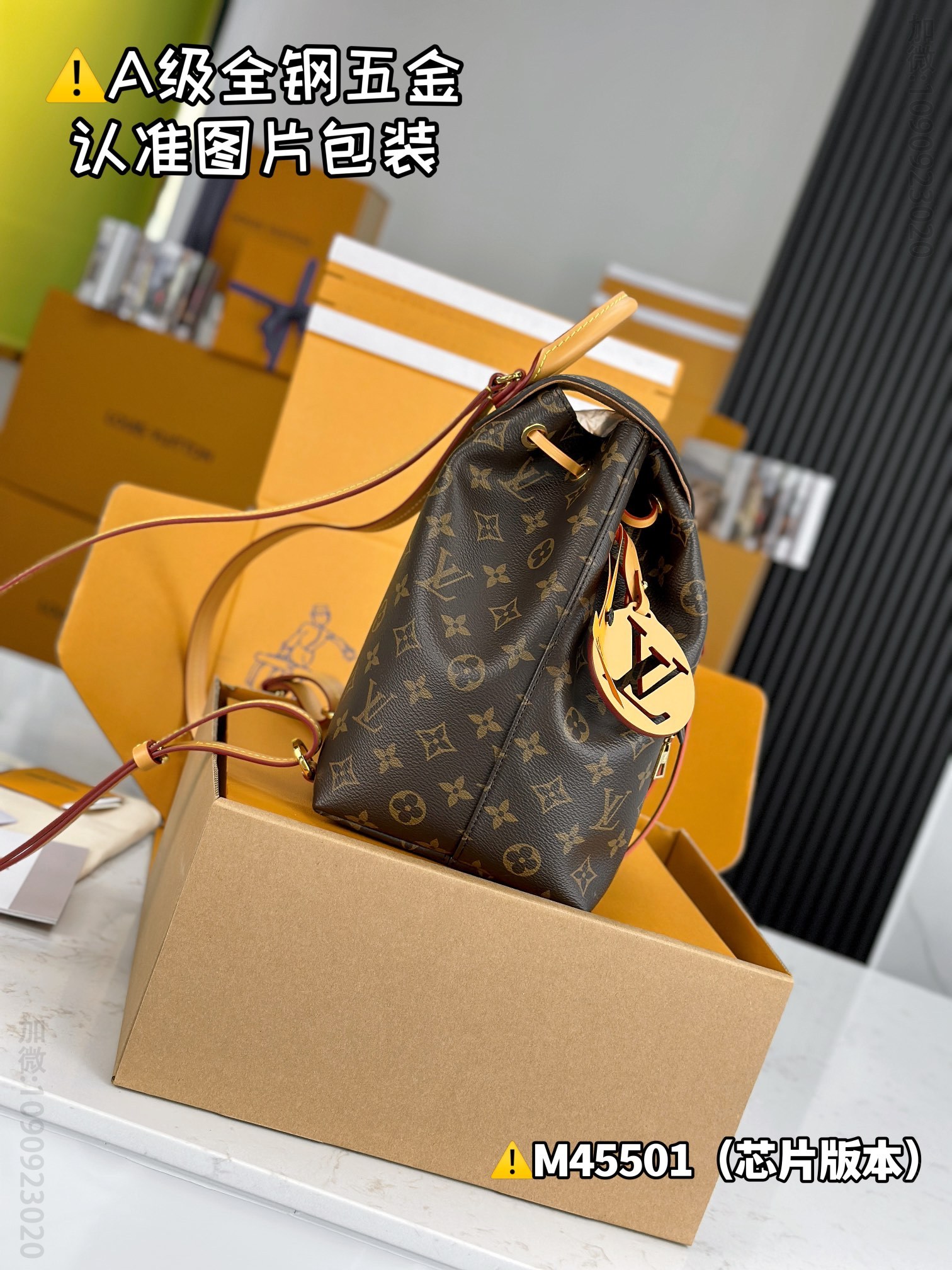 LV MONTSOURIS LV small backpack M45501 M45501