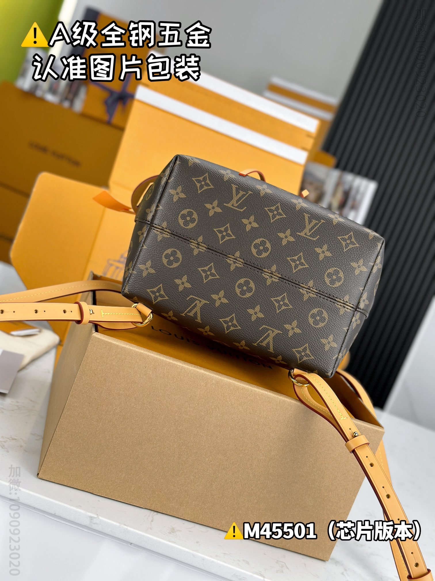 LV MONTSOURIS LV small backpack M45501 M45501