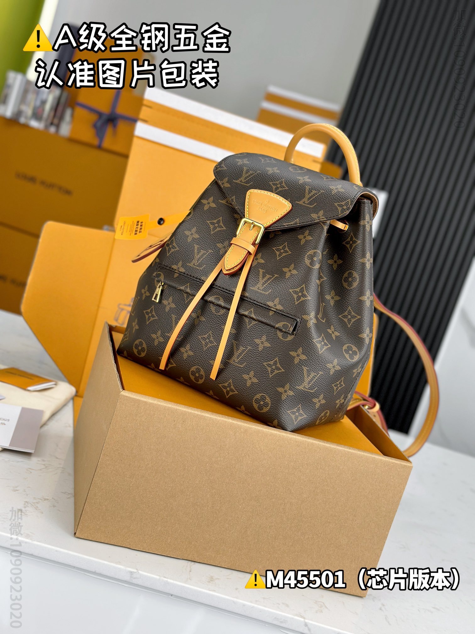 LV MONTSOURIS LV small backpack M45501 M45501